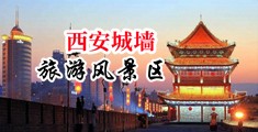 女警女老师被操淫水多多娇喘视频网站大全中国陕西-西安城墙旅游风景区
